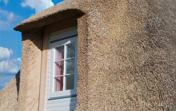 Balimore thatch roof disadvantages